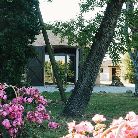 Agriturismo Palazzo Baldini Villa Bagnacavallo Luaran gambar